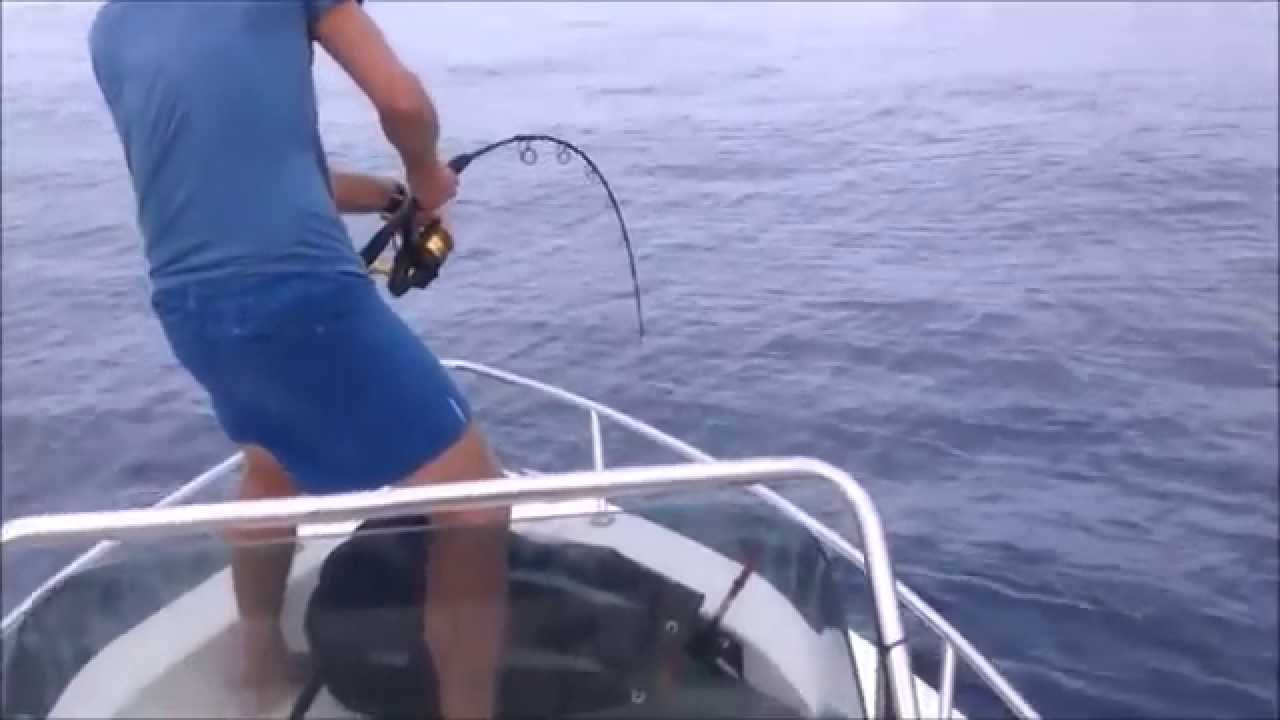 Penn Spinfisher 244lb tuna