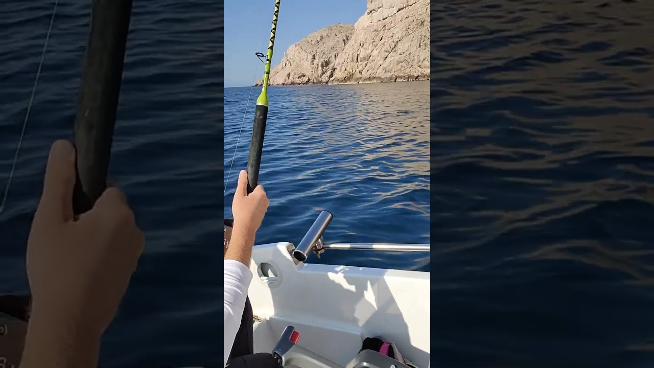 mali zubatac😁.....(jeska smrznuta lignja i sipa)#fishing #dentex #trolling#croatia