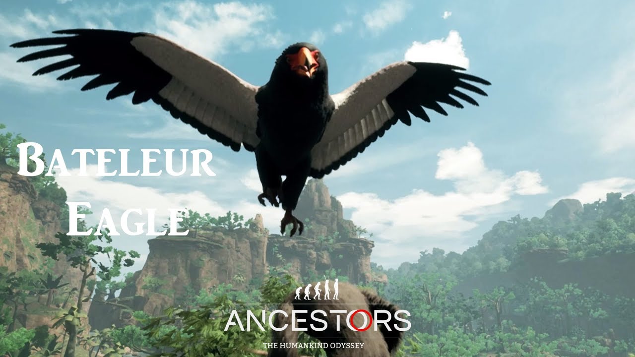 Ancestors: The Humankind Odyssey - How to kill Bateleur Eagle