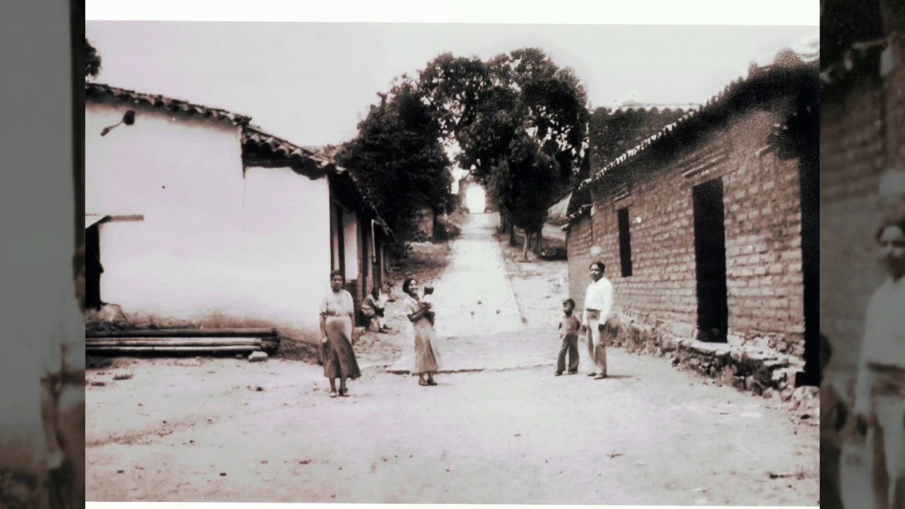 Zoochila