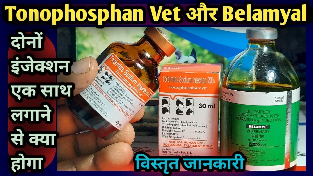 Tonophosphan Vet और  Belamyal injection✌दोनों को एक साथ पशुओं को लगाने से क्या होगा👉