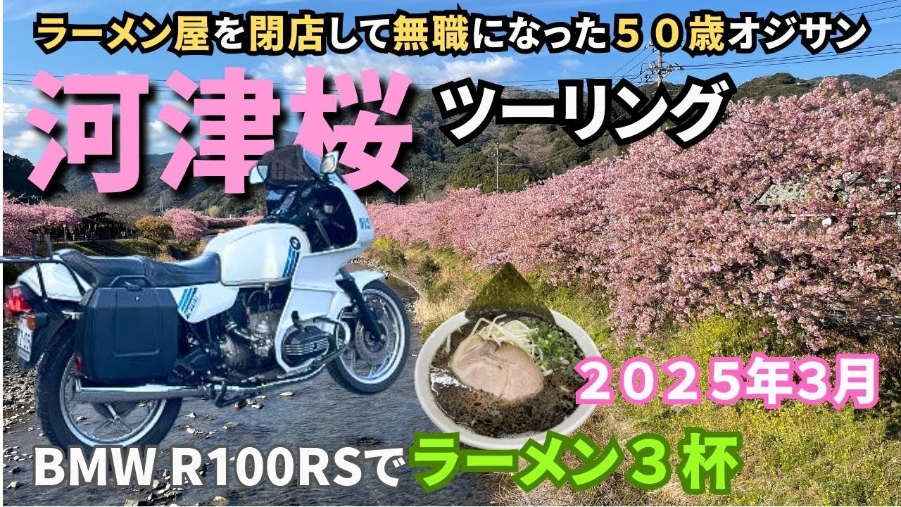 【無職オジサン】伊豆の絶景 河津桜ツーリングが最高！【BMW R100RS】