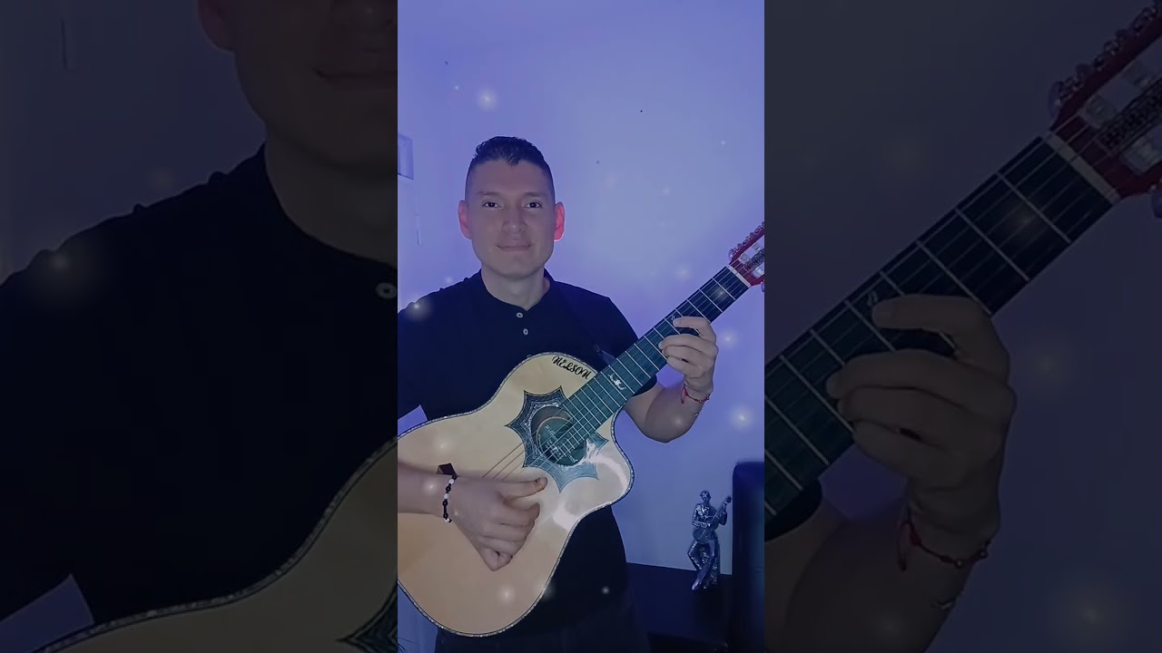 Sin Un Adios - Luis Alberto Posada En Requinto