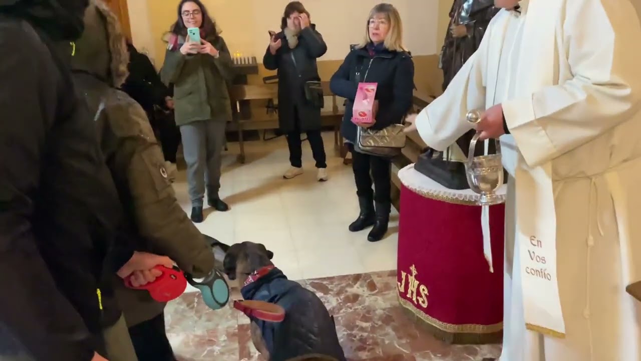 Día de San Anton. Bendición de los Animales. Humanes de Madrid. 17/01/2023.