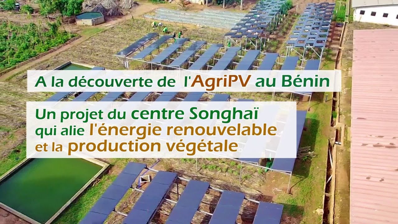 A la découverte de l'AgriPV - Un Projet du Centre Songhaï