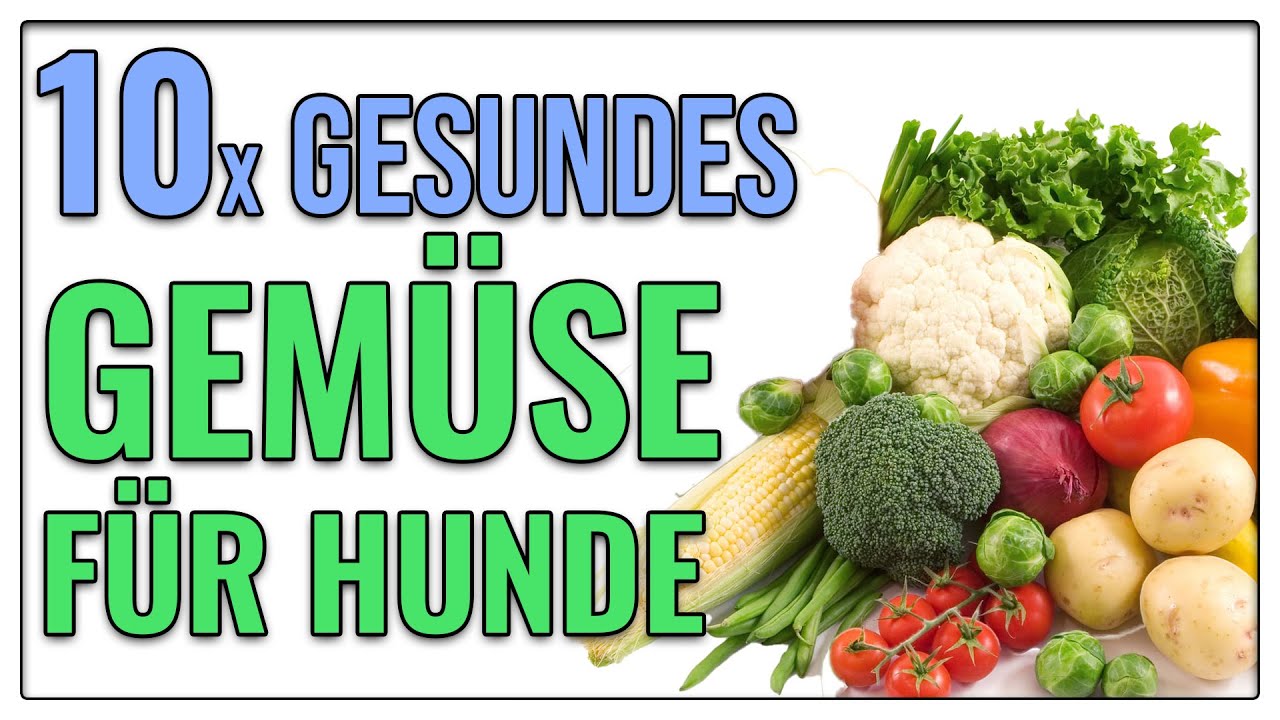 Gemüse für deinen Hund- giftig oder gesund? - TGH 344