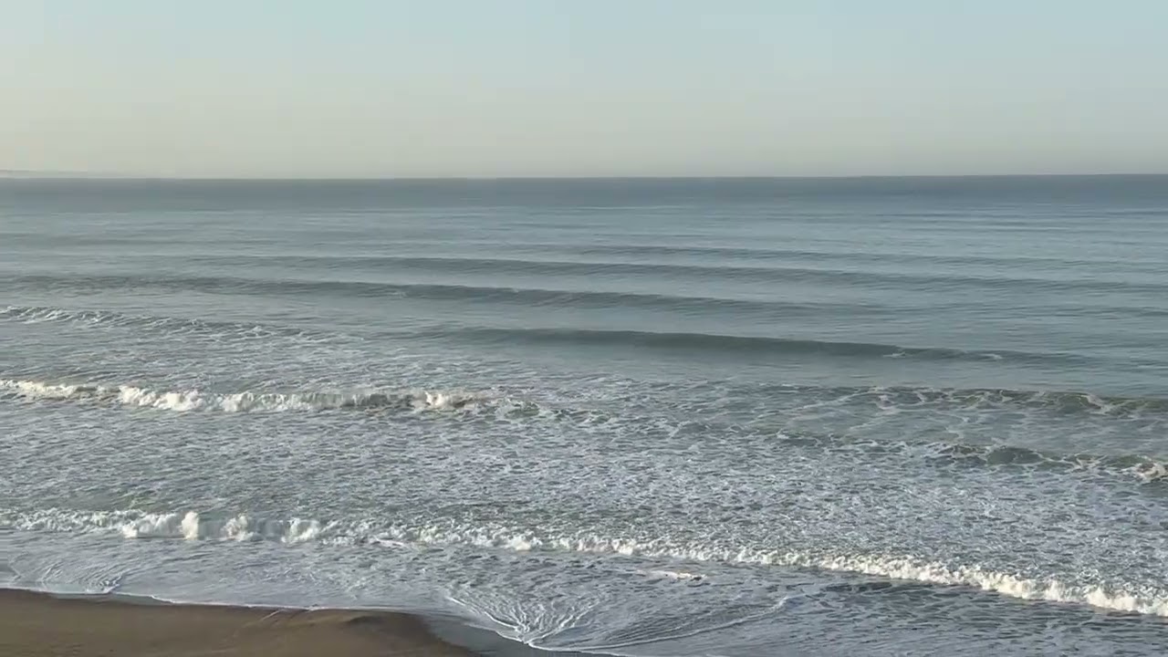 Surf report 1/30/2026
