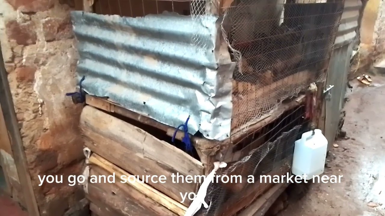 How to treat flu and cough on your chickens using this herbal remedies .