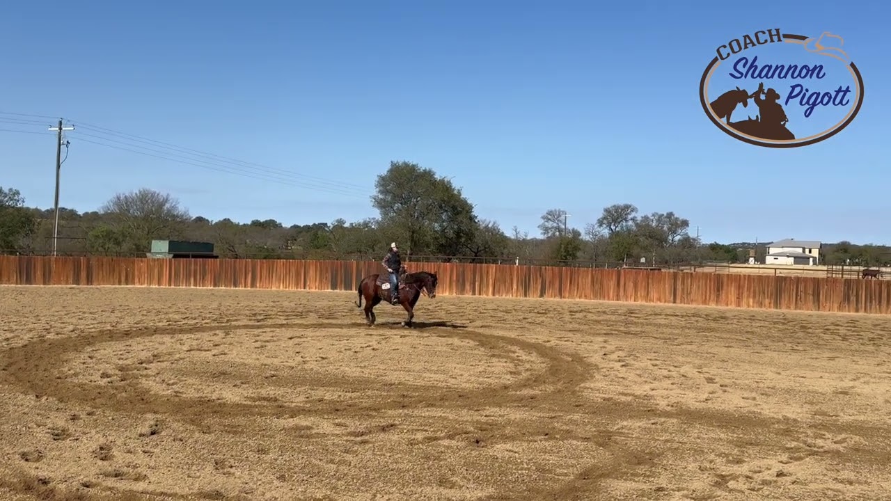 Lead Change Coordination Drill