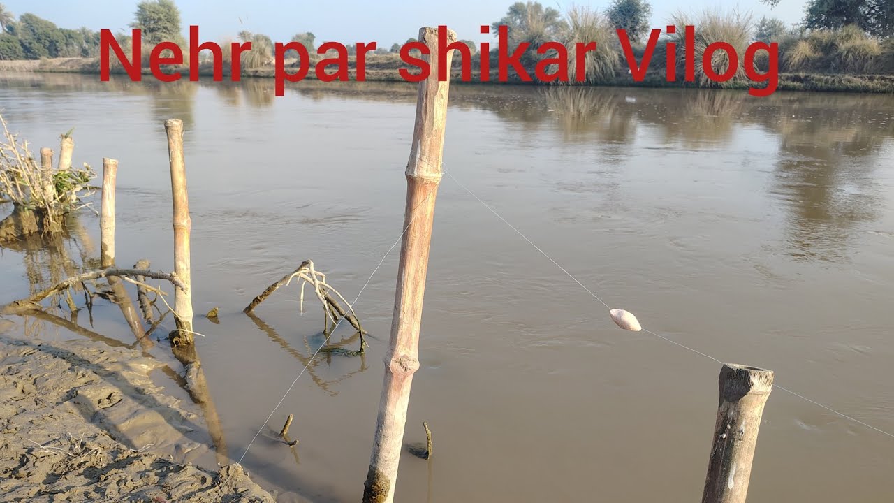 Hunting At canal Pakistan 