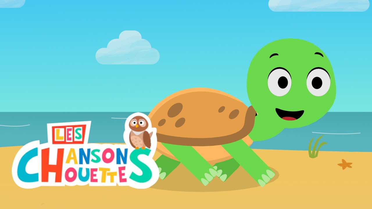 Toc toc toc tortue - Les chansons chouettes