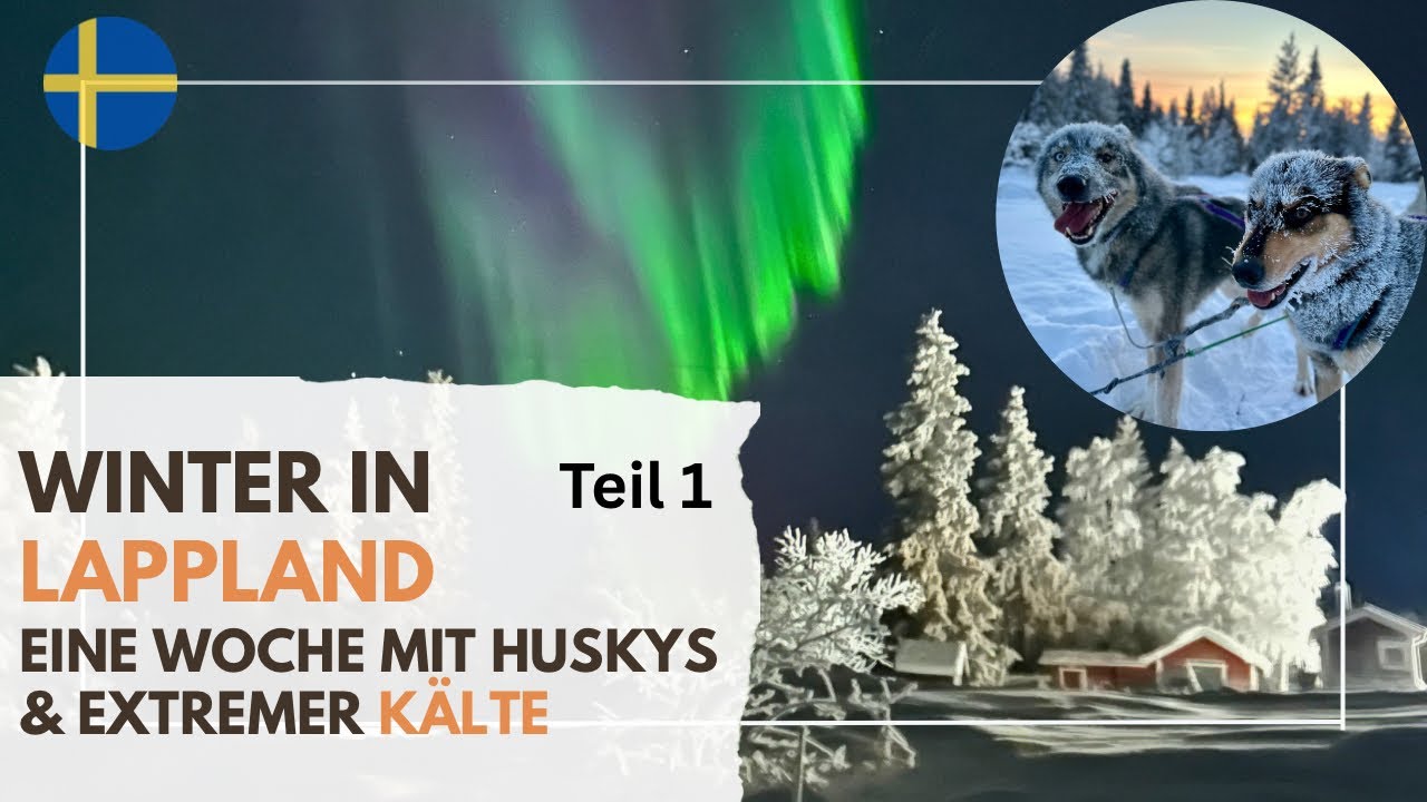 Unser Winteralltag in Lappland – Huskys, Gäste & extreme Kälte - Teil 1 zu Winteraktiv-Woche KW3