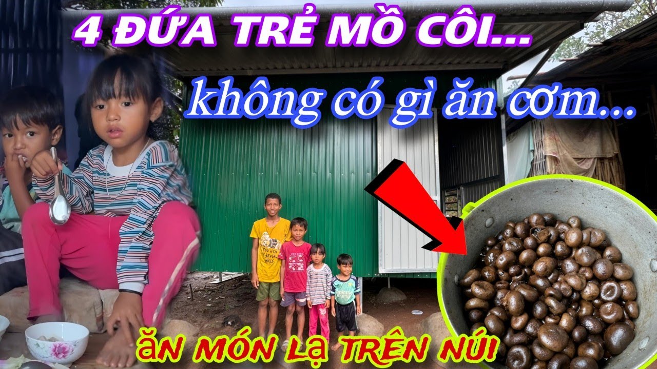 Không có gì ăn CƠM 4 đứa bé MỒ CÔI ăn món ăn LẠ trên RỪNG NÚI /276