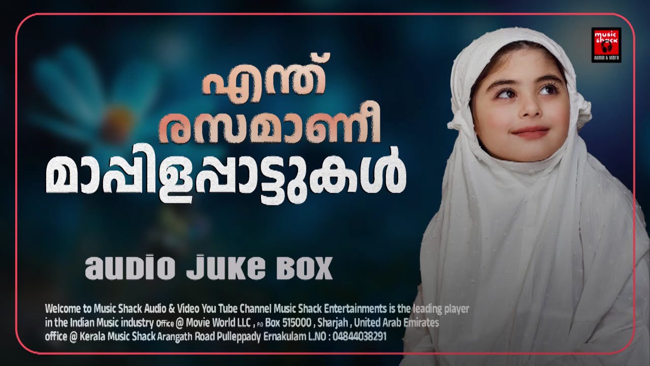 എന്ത് രസമാണീ മാപ്പിളപ്പാട്ടുകൾ | MAPPILA SONGS | MAPPILA PATTUKL | BEST MAPPILA SONGS
