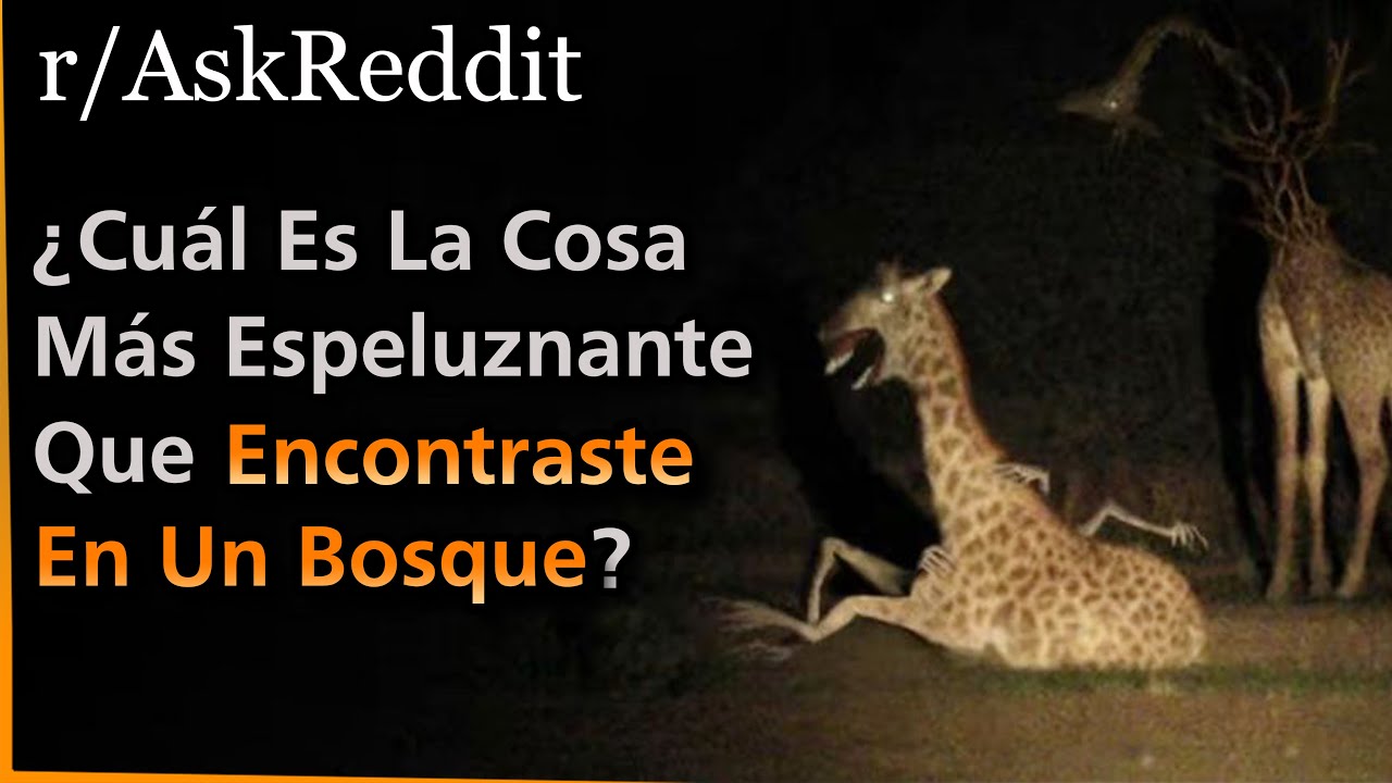 ¿Cuál Es La Cosa Más Espeluznante Que Encontraste En Un Bosque? | Askreddit