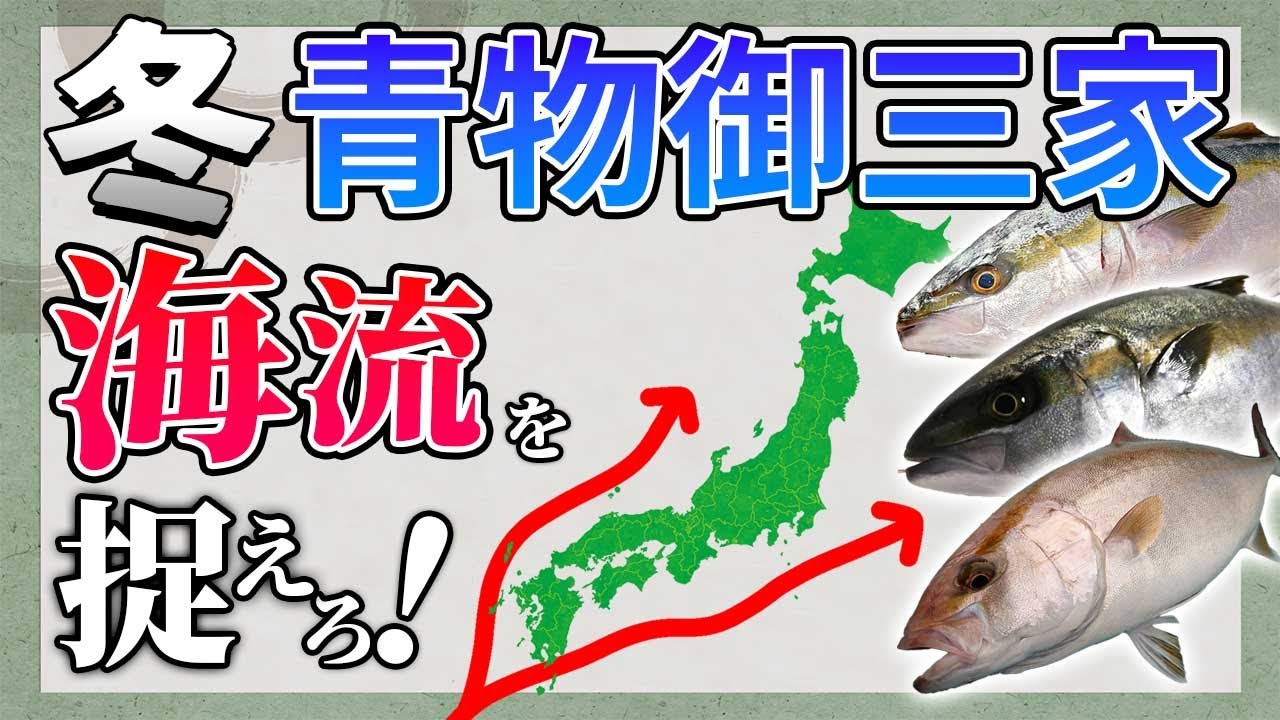 【冬青物2023】ショアから青物を狙うには場所が圧倒的に重要