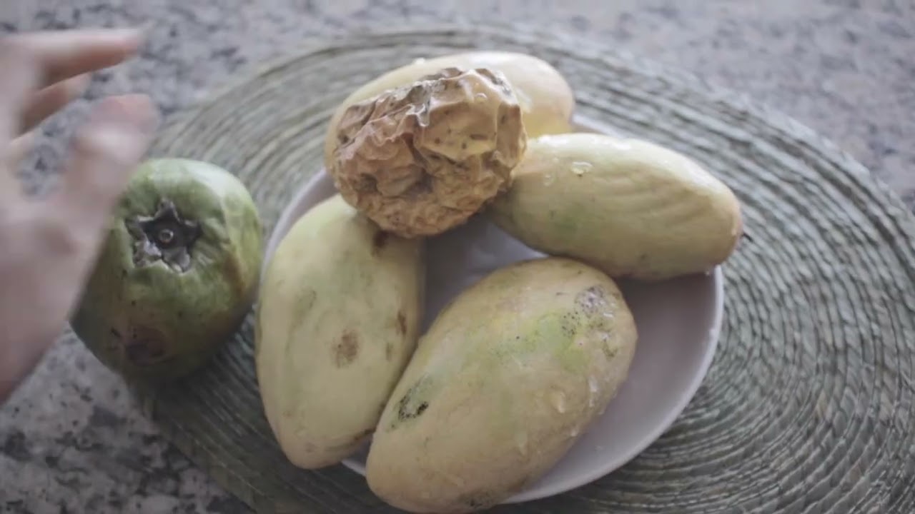 Heal Your Living - Sustainable Minimalist Vegan Grocery (25.03.2021)