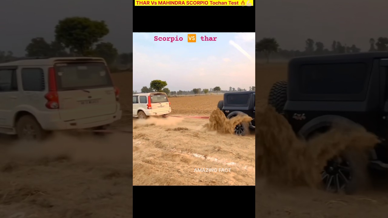 THAR Vs MAHINDRA SCORPIO Tochan Test #shorts #thar #scorpio #tochan #ytshort #viral