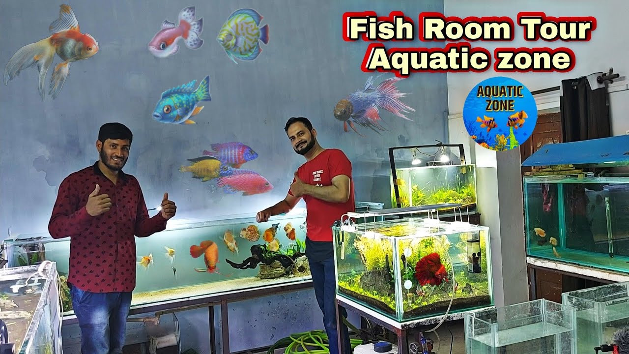 Fish Room Tour Feat Aquatic Zone - Aquarium Fish - Aquascaper Up