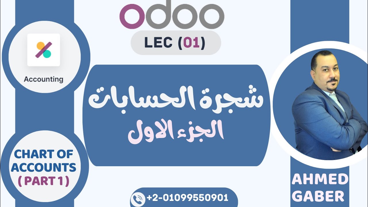 Odoo Chart Of Accounts - Part 1 شجرة الحسابات اودو - الجزء الاول