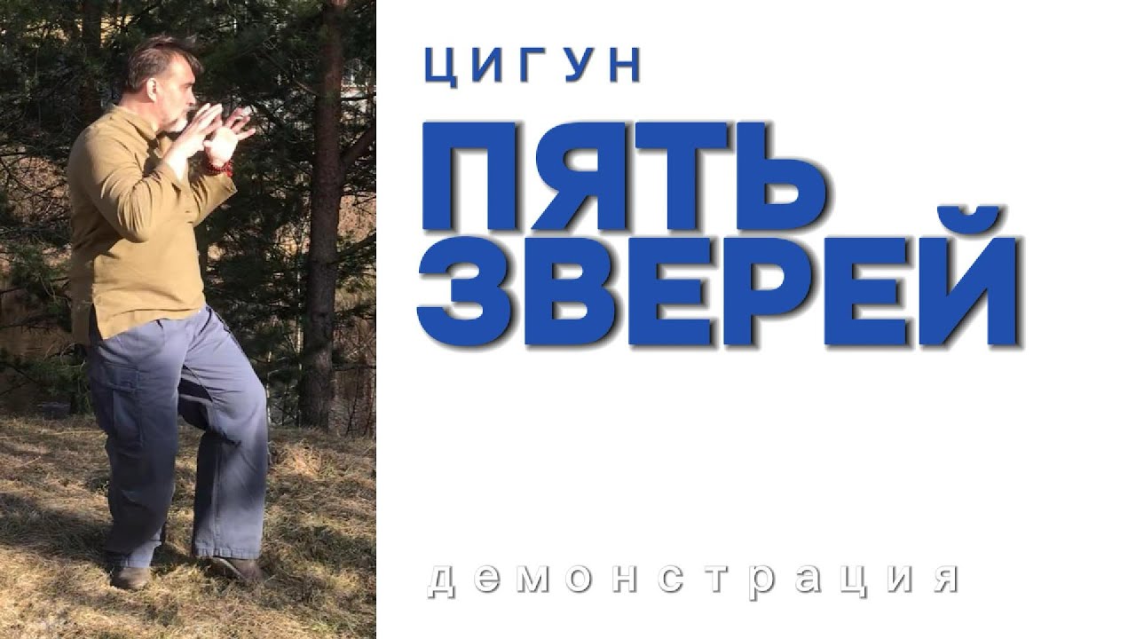 Цигун «Пять зверей» -  императорский комплекс, мягкий, цельный, действенный
