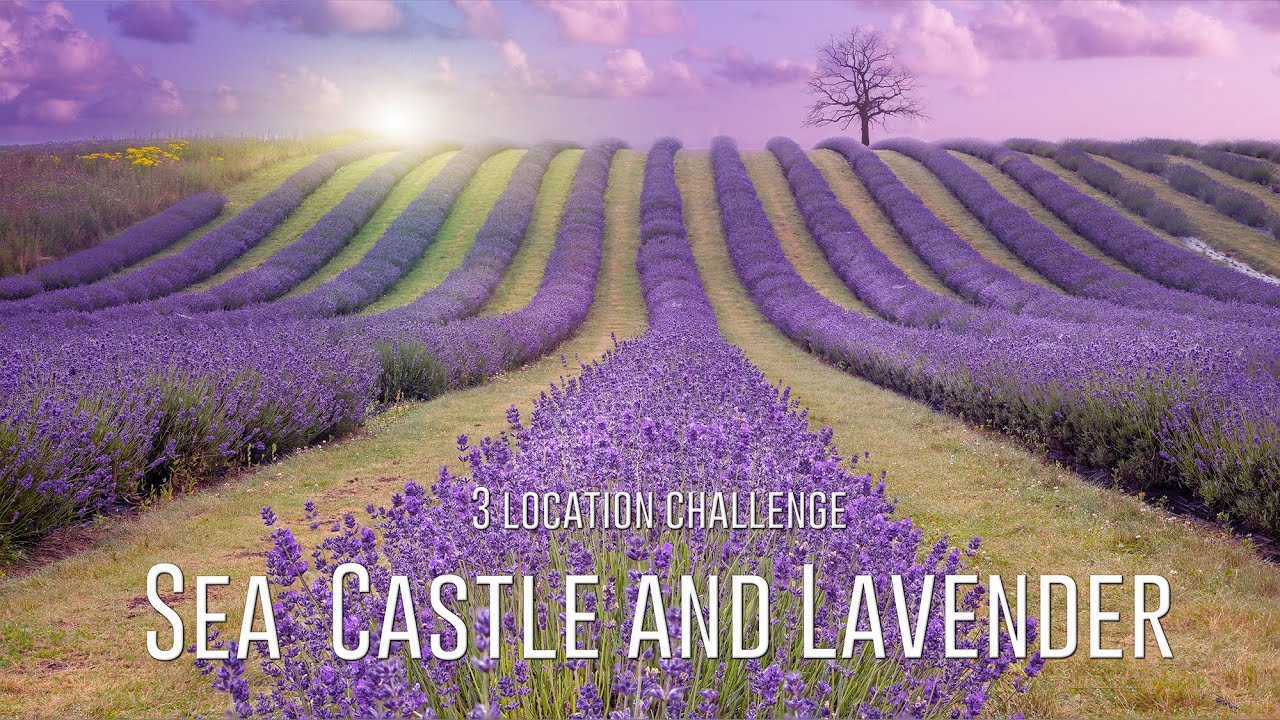 Landscape Photography Sea, Castle and Lavender challenge