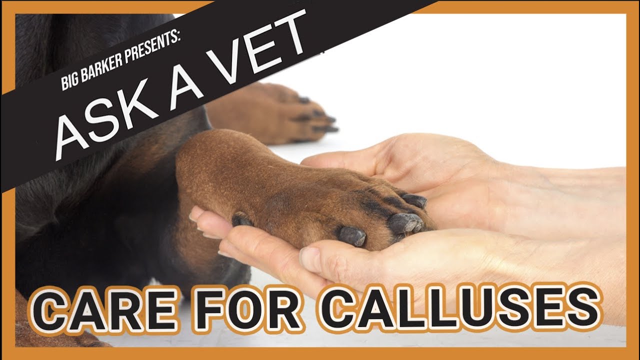 How to Care for Calluses