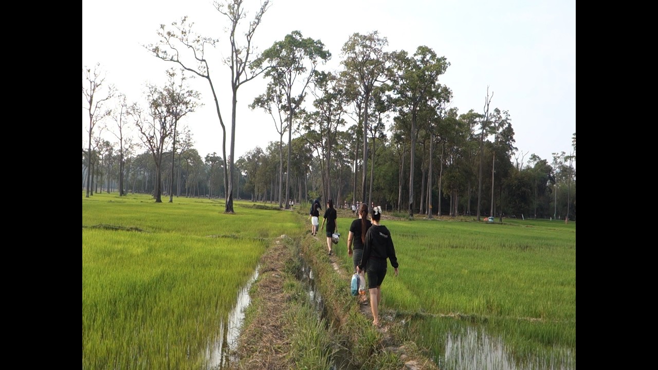 Cánh đồng châu âu tại Xã Tà Lài, Tỉnh Đồng Nai