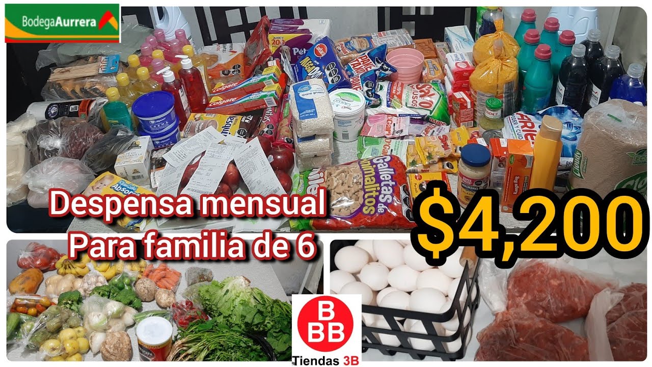 GASTE $4,200 EN LA DESPENSA MENSUAL PARA FAMILIA DE 6