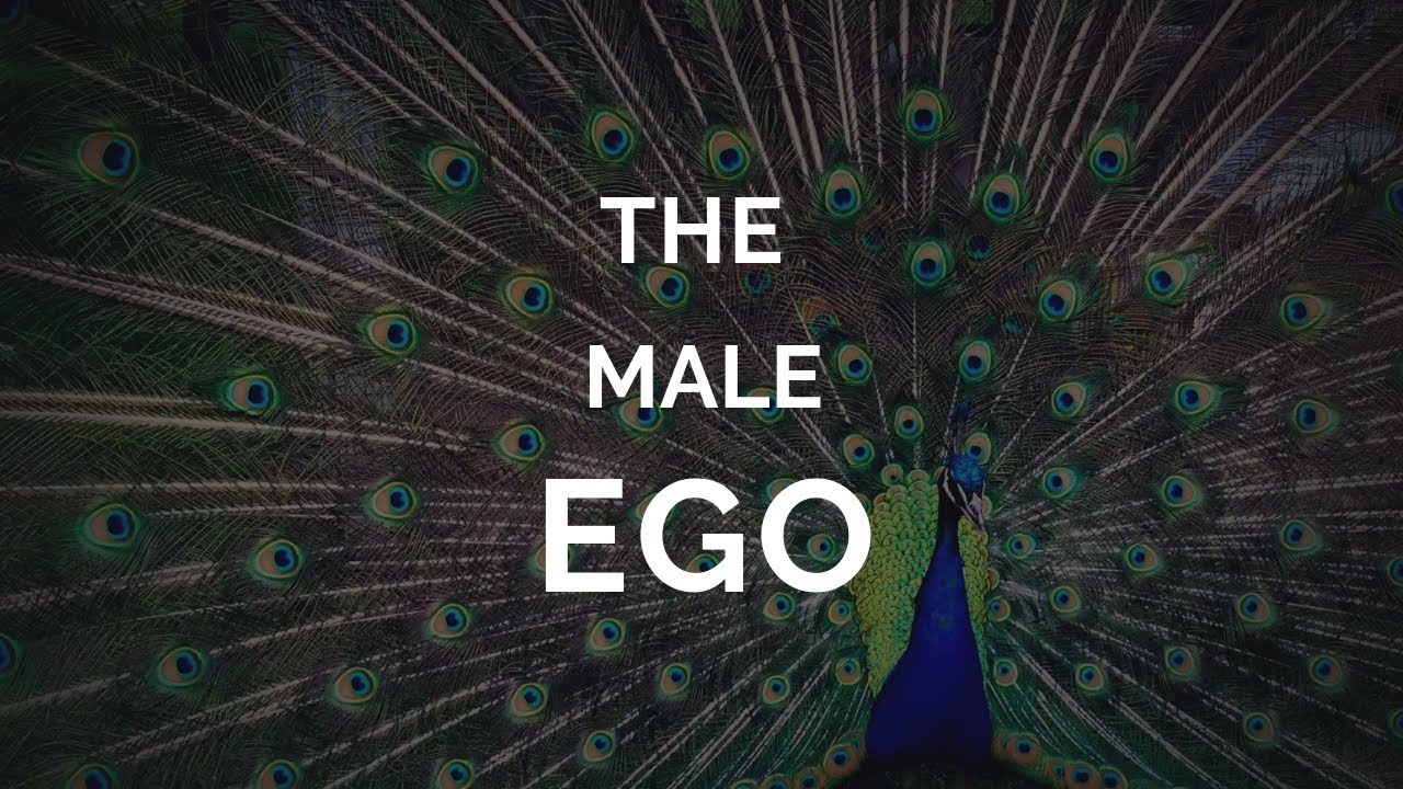 The Male Ego | Gerardo Morillo