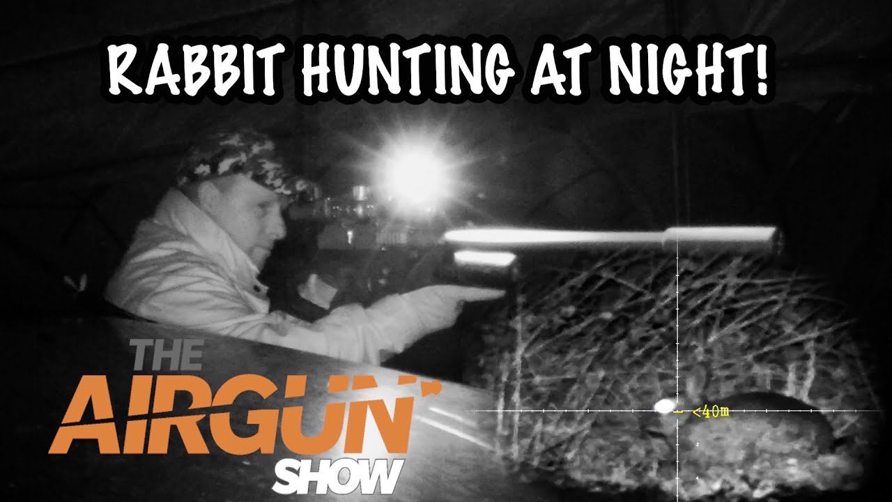 The Airgun Show | Night vision rabbit hunting| Reximex Accura airgun review