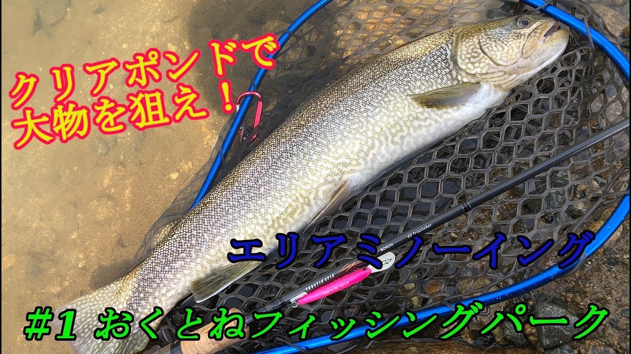 【おくとねフィッシングパーク】おくとねモンスターを求めて【エリアミノーイング】