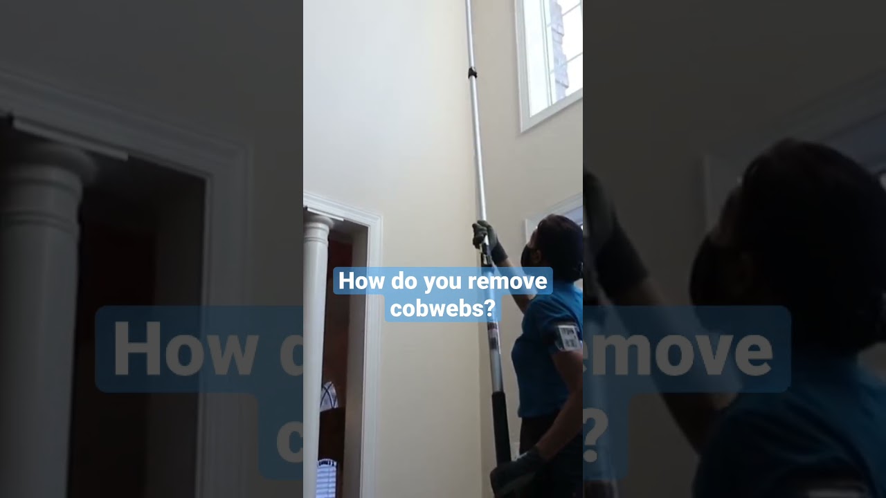How Do You Remove Cobwebs? Pro Cleaner Tip