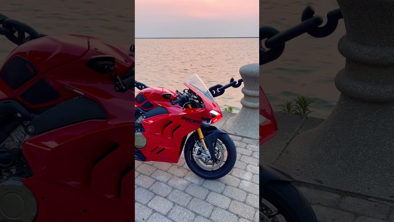 the Panigale V4S at sunset 🤩 #ducati #panigale #superbike #sunset #sportbike #motorcycle #motorbike