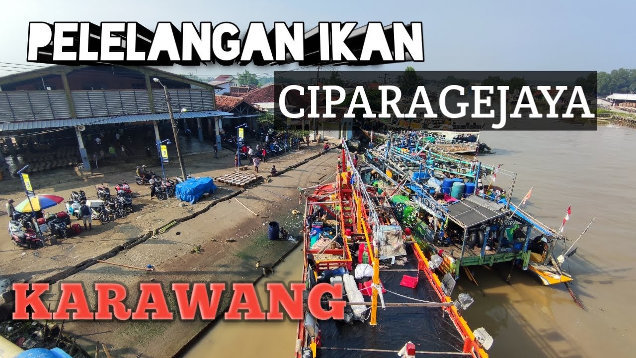 PELELANGAN IKAN CIPARAGEJAYA - WALKING AROUND KARAWANG