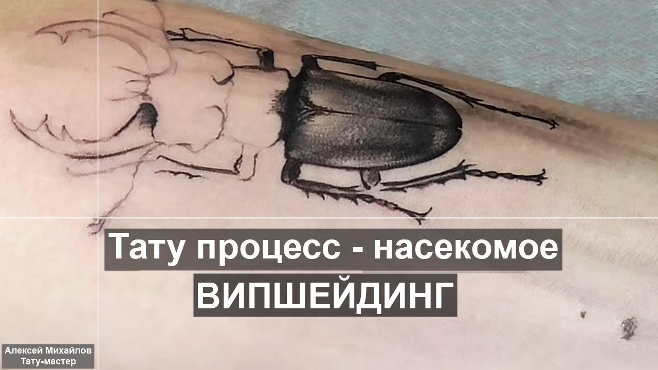 Тату процесс - жук (насекомое) - стиль випшейдинг-реализм | Михайлов Алексей