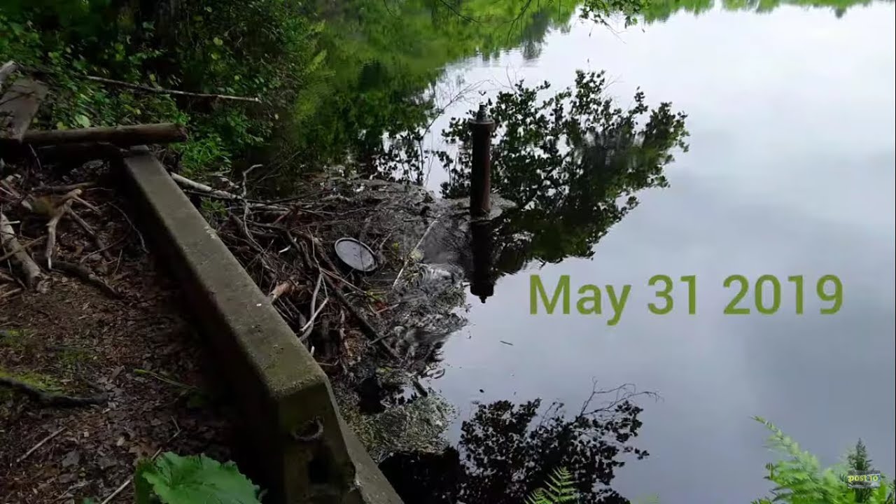 Unclogging Giant Lake Drain Culvert, Clogged Up After A Storm Again