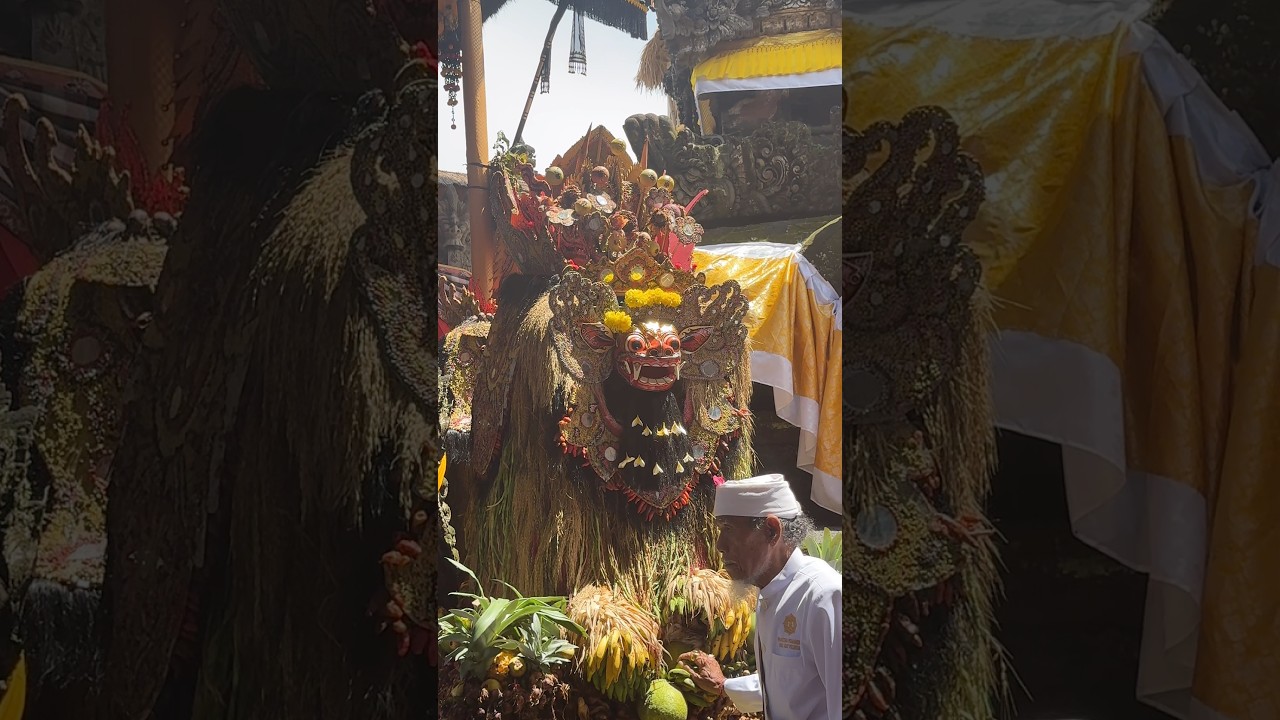 Ida Bhatara tedun ring upacara Tawur Agung Pedanan 