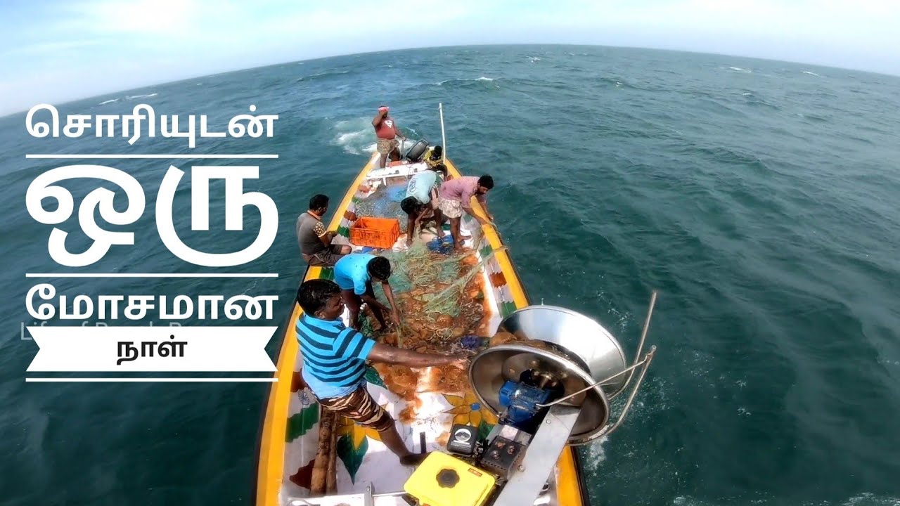 சொரியுடன் ஒரு மோசமான நாள் | Bad day with 1000's of jelly fish!!! | cuttlefish fishing in Kootapuli