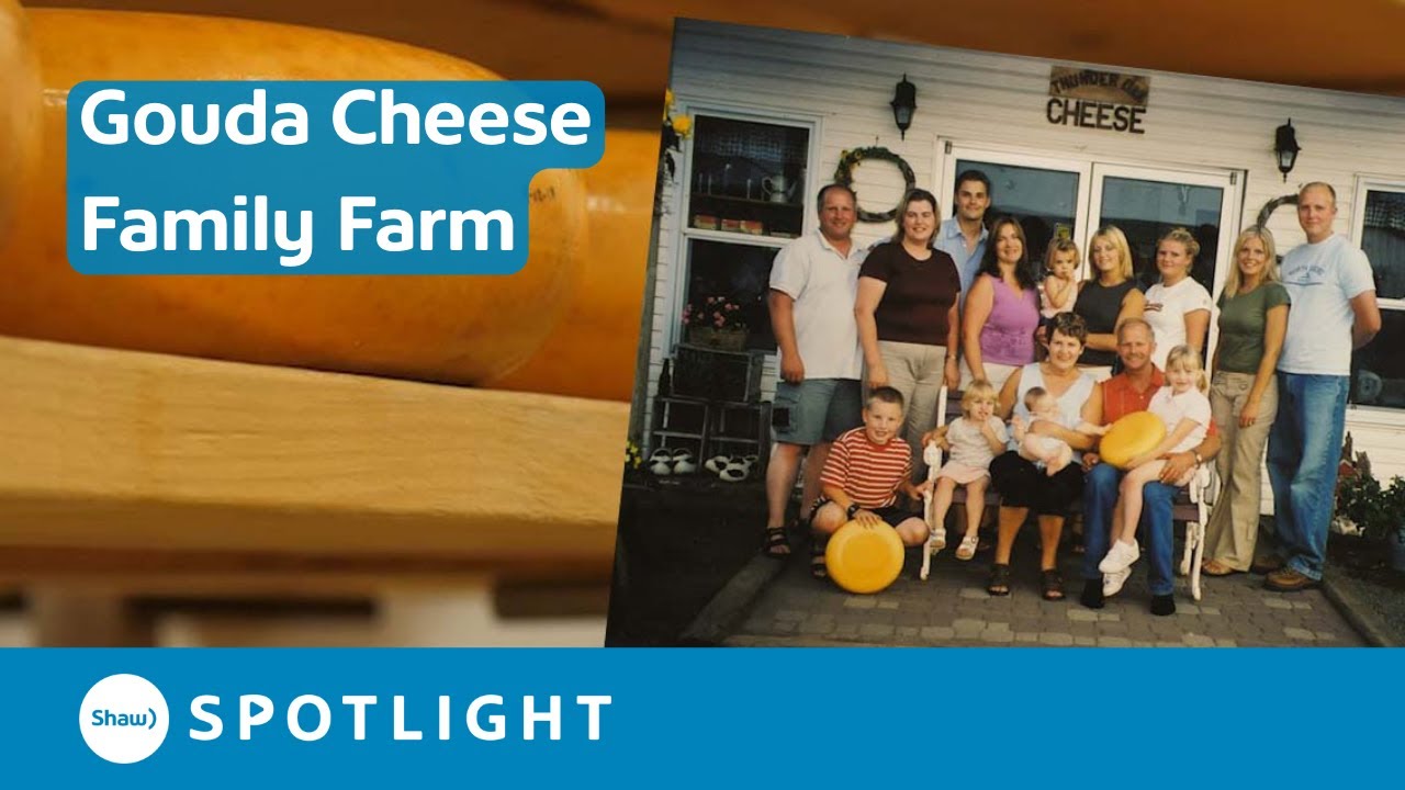 Gouda Cheese made on the Family Farm