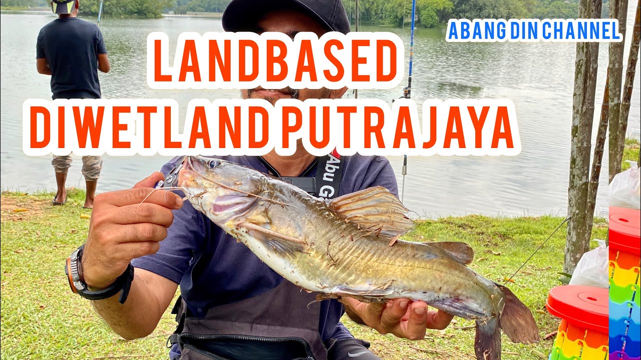 Baung Monster Wetland Putrajaya  | Bottom Umpan Dedak