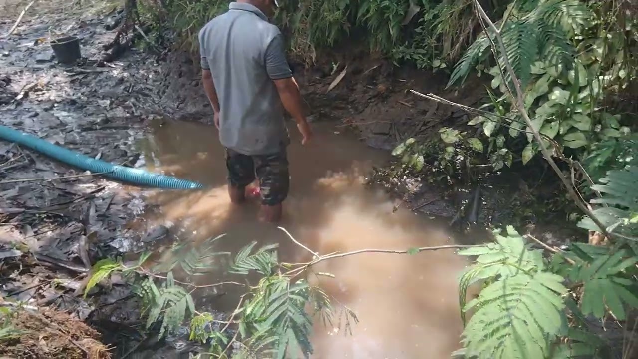 nekat kuras sungai kecil,tpi hasilnya mantap#subscribe