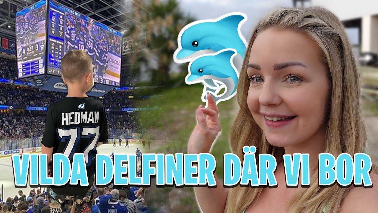 HOUSE TOUR TAMPA! Bor bland vilda delfiner (USA-vlogg del 3)