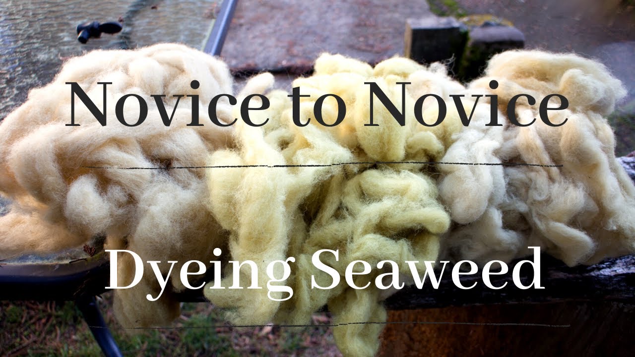 Novice to Novice Series - Dyeing with Seaweed
