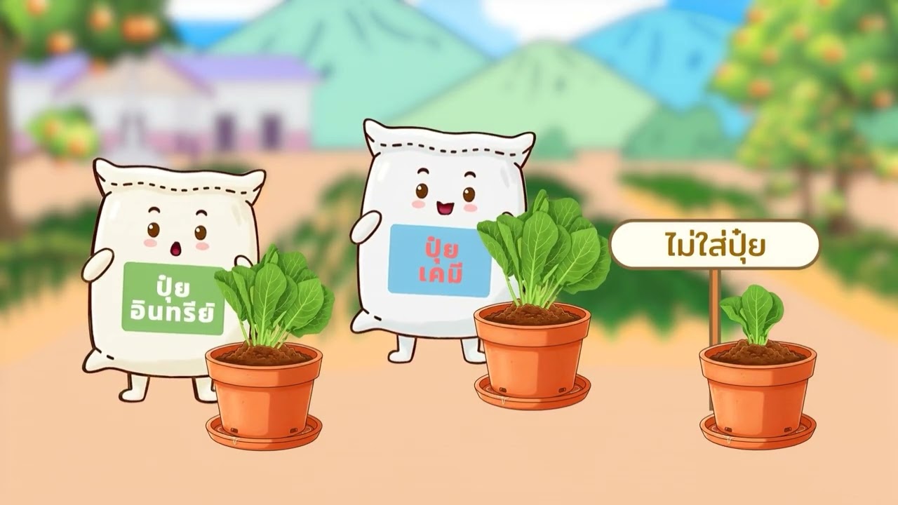 ตอนที่ 3 แสงแดดช่วยให้พืชโตจริงไหม และปุ๋ยวิเศษจริงหรือ
