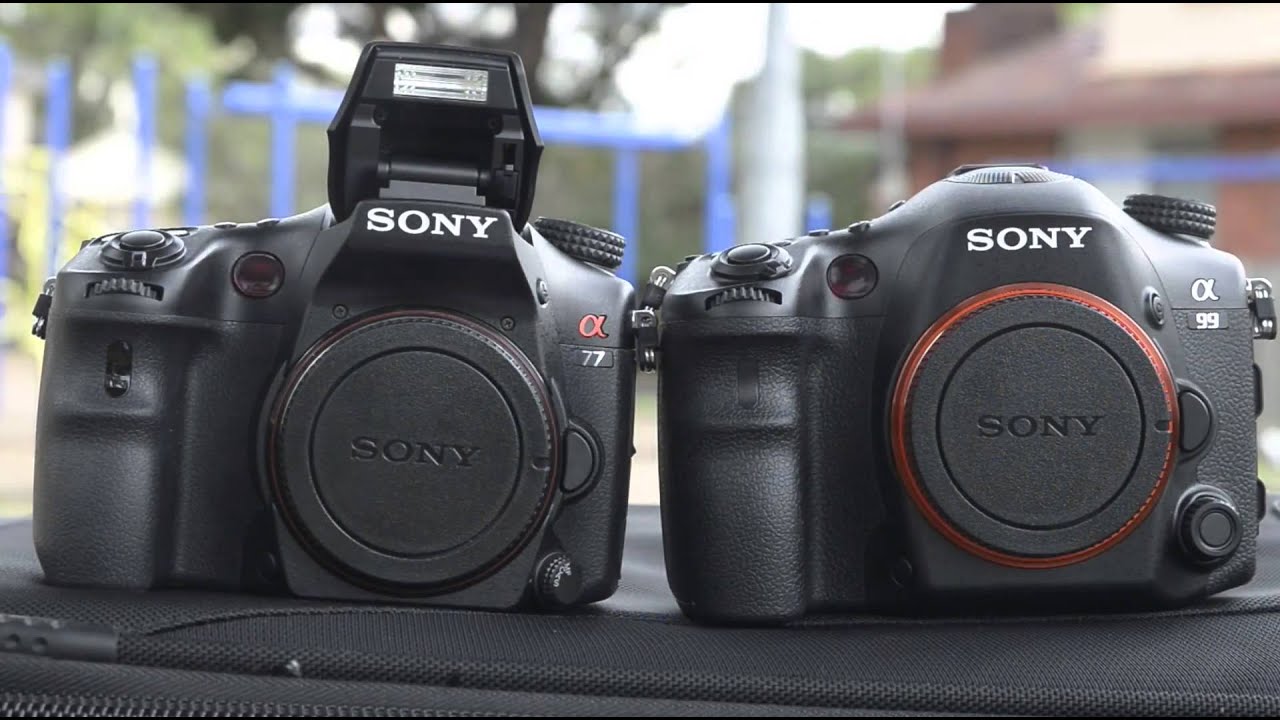 Sony Alpha A99 vs A77