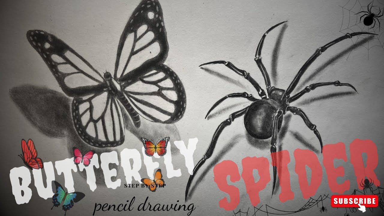 How to draw a butterfly & spider | step by step 🦋🕷