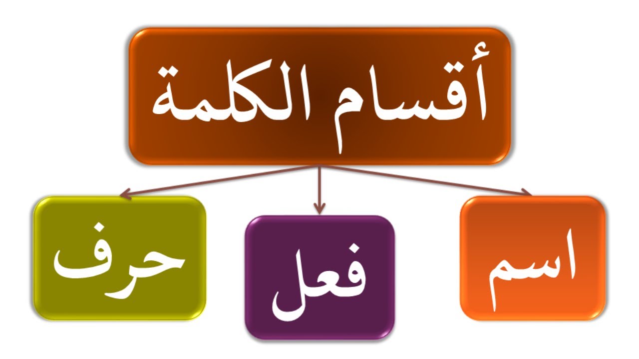 1- أقسام الكلمة (أنواع الكلمة).