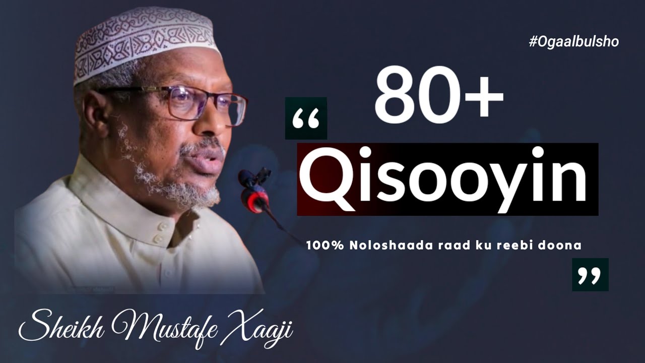 80+ Qisooyin Xigmad iyo Ku Cimro Qaadasho Mudan || Sheikh Mustafe X @OGAALBULSHO #100qisooyin