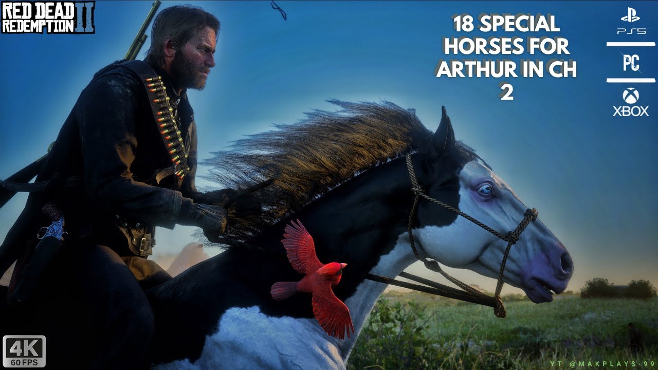 18 Rare/Special Horses In CH 2 With Exact Locations - RDR 2 | 2025 Updated